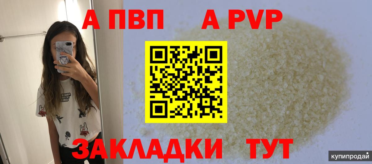 A PVP СК Ржев