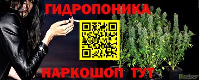 каннабис Ставрополь
