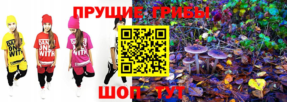 Галлюциногенные грибы мицелий Ржев