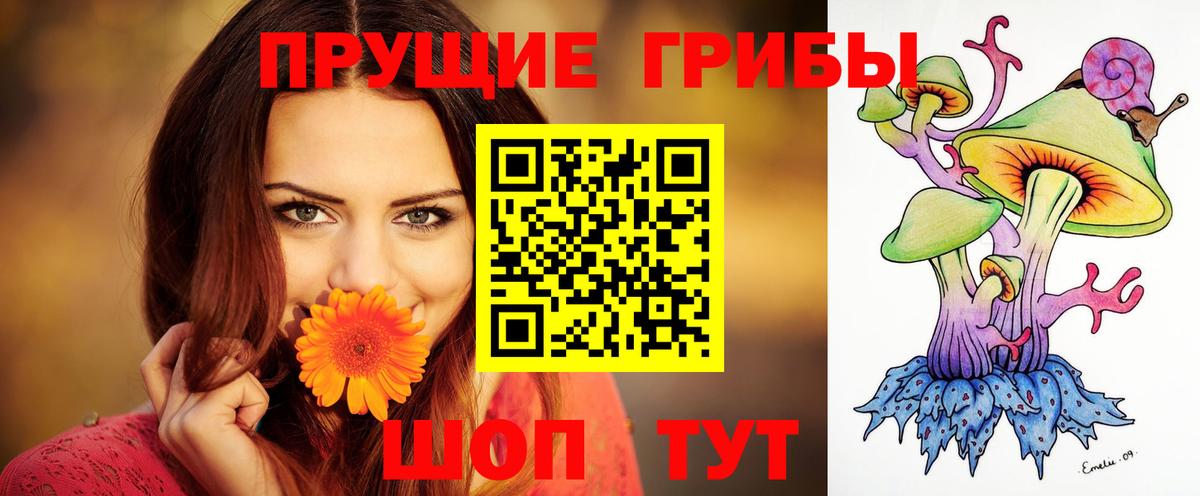 Псилоцибиновые грибы Magic Shrooms  Вход с VPN  Ржев 